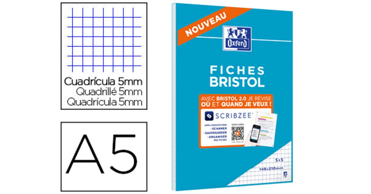 FICHES BRISTOL EN BLOC PERFORÉES ASSORTIS 148X210MM