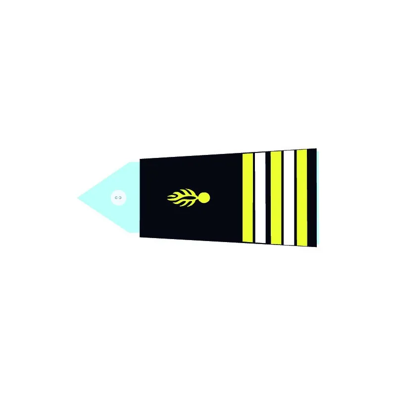 Fourreaux rigides GR - Lieutenant Colonel (H)